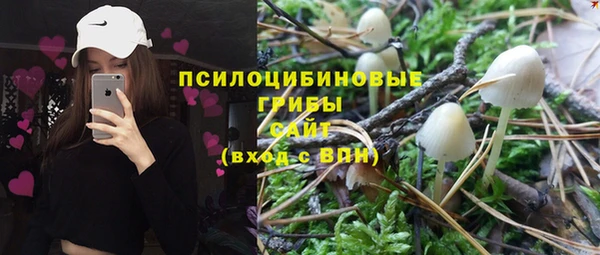 гидропоника Зеленодольск